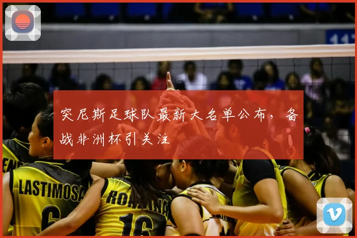 突尼斯足球队最新大名单公布,备战非洲杯引关注