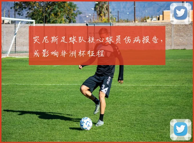 突尼斯足球队核心球员伤病报告,或影响非洲杯征程