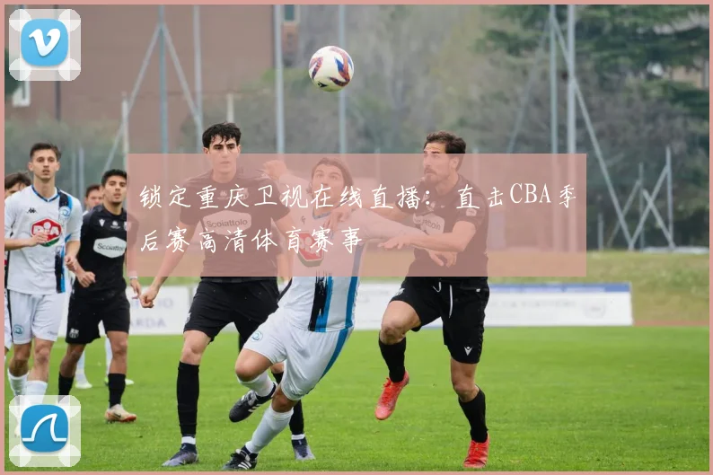 锁定重庆卫视在线直播：直击CBA季后赛高清体育赛事