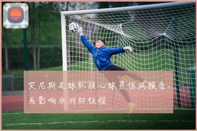 突尼斯足球队核心球员伤病报告，或影响非洲杯征程